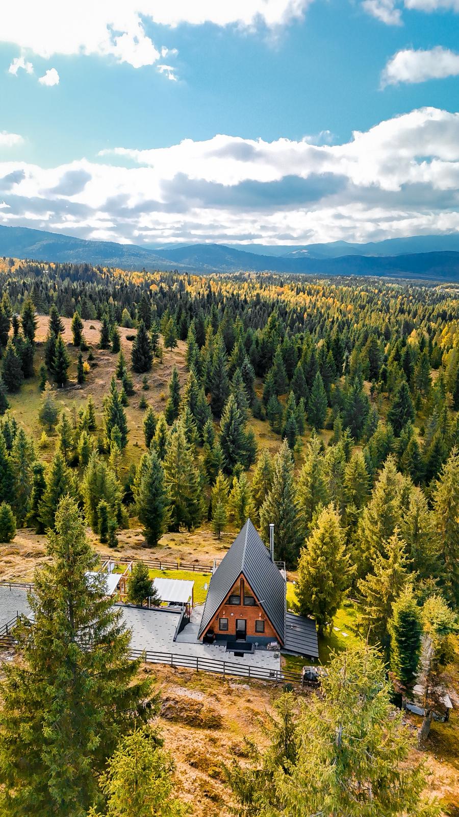 Aerial view of cabin surrounded by mountain forest